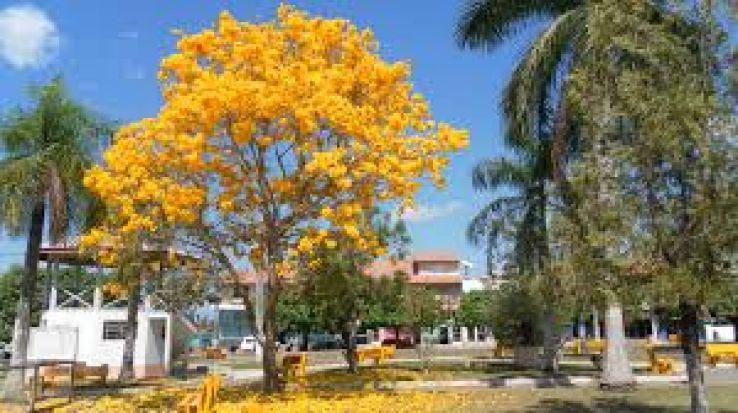 Cruzeiro do Oeste Trip Packages