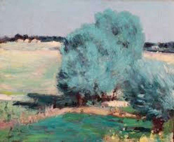 Salciile Trip Packages