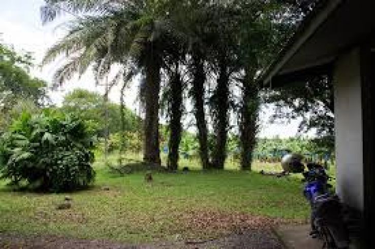 Siquirres Trip Packages