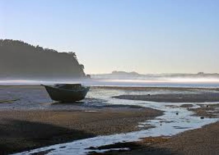 Memorable Auckland Nature Tour Package for 4 Days from Rotorua