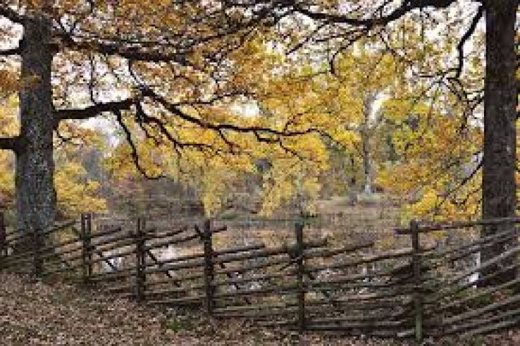 Smaland Trip Packages