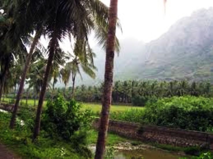 Nagercoil Trip Packages