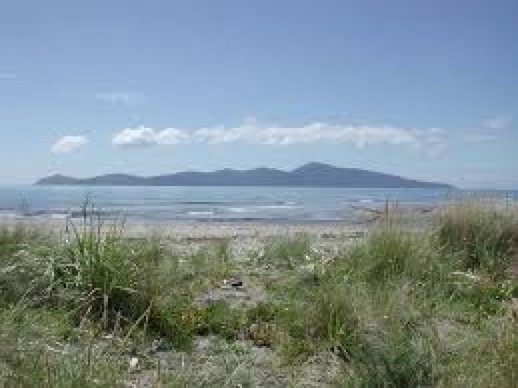 Kapiti Island Trip Packages