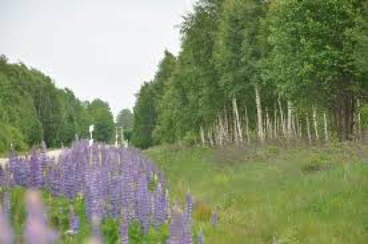 Smaland Trip Packages