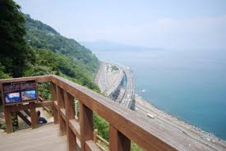 Shizuoka Trip Packages