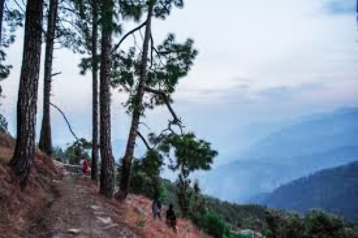 Binsar Trip Packages