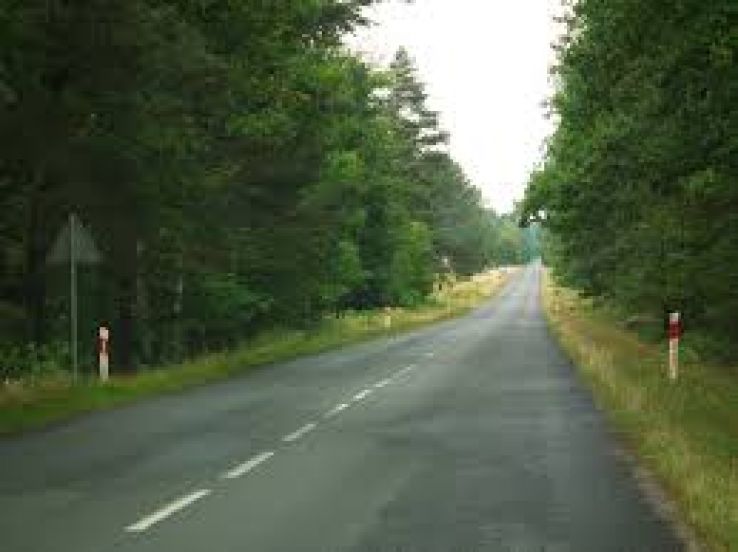 Sulecin Trip Packages