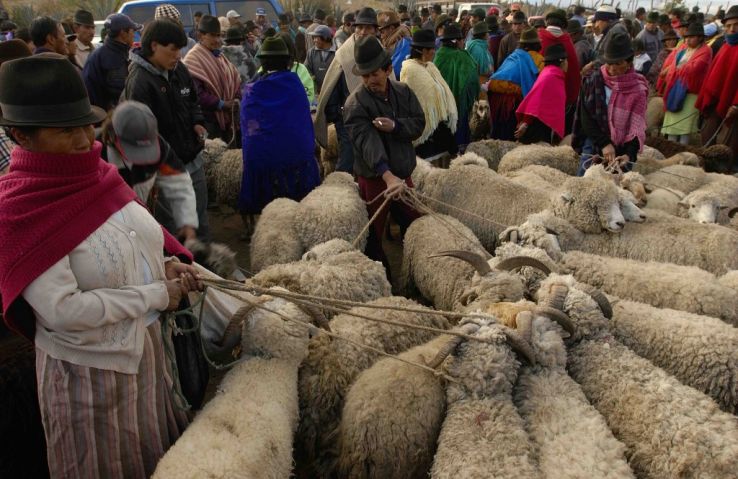 Saquisili Trip Packages