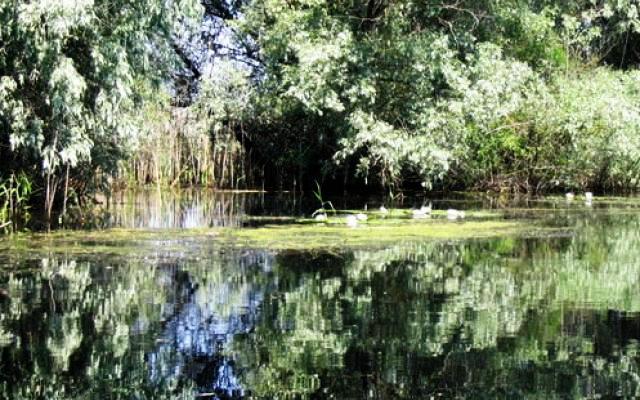 Romania Trip Packages