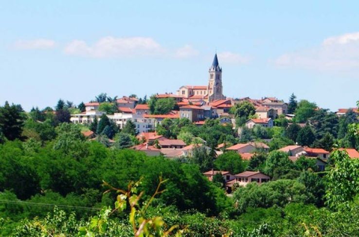 Dardilly Trip Packages