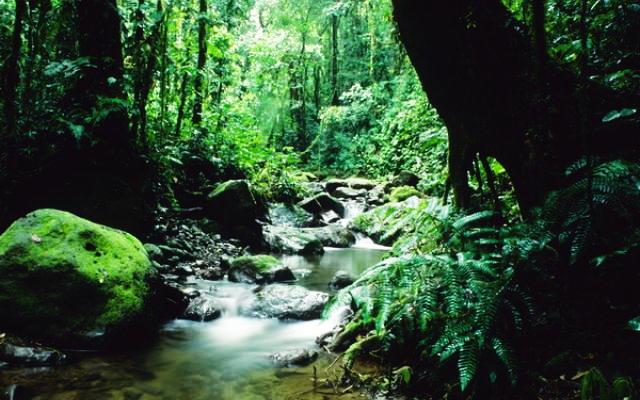 Panama Trip Packages