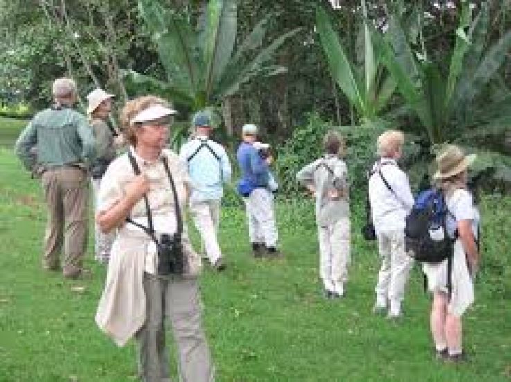 Kakamega Trip Packages