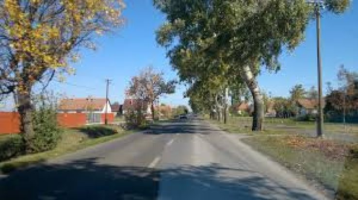 Veszto Trip Packages