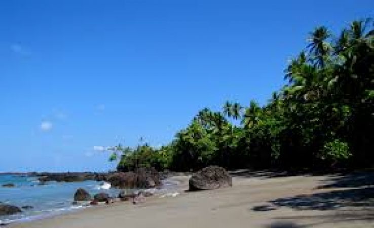 Puerto Jimenez Trip Packages