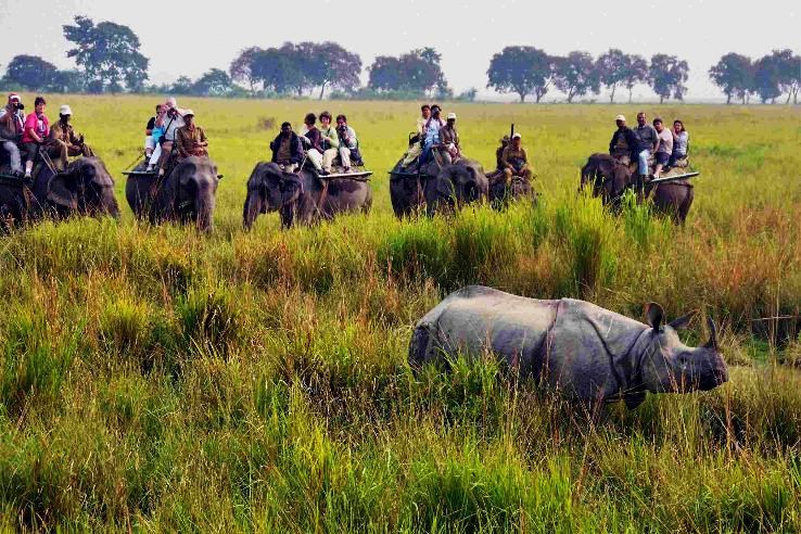 Magical 3 Days kaziranga guwahati airport Trip Package