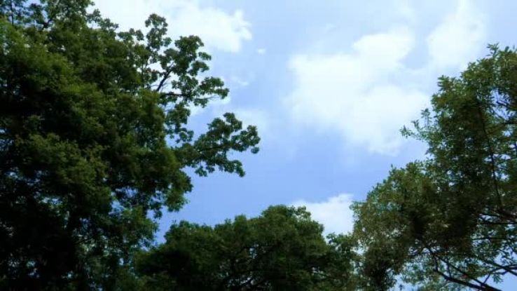 Pocheon si Trip Packages