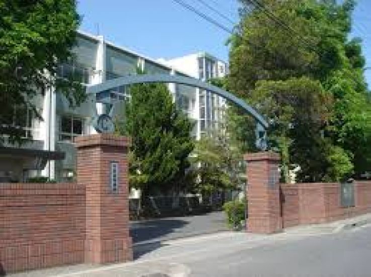 Mizunami Trip Packages