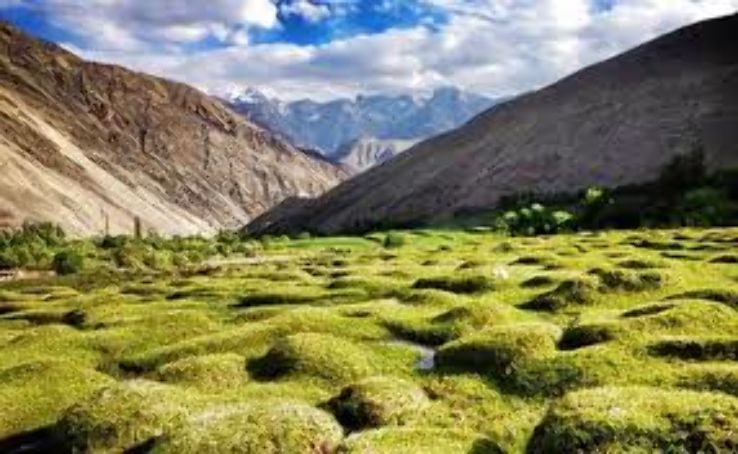 Sham Valley Trip Packages