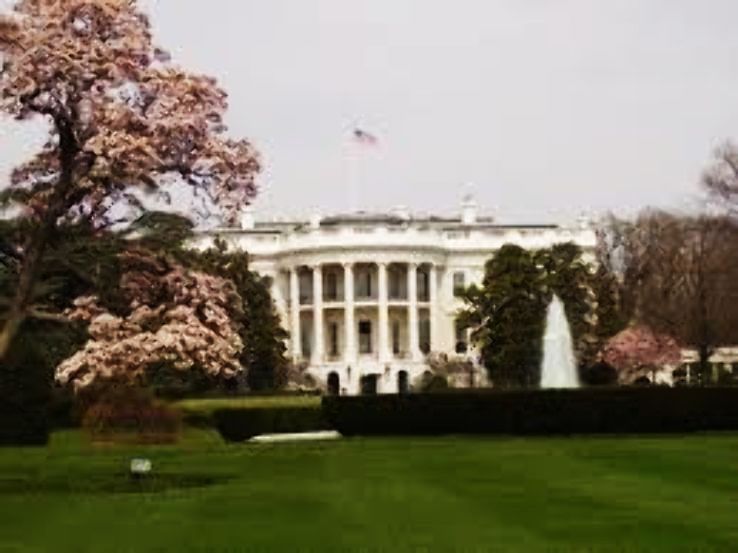 White House Trip Packages
