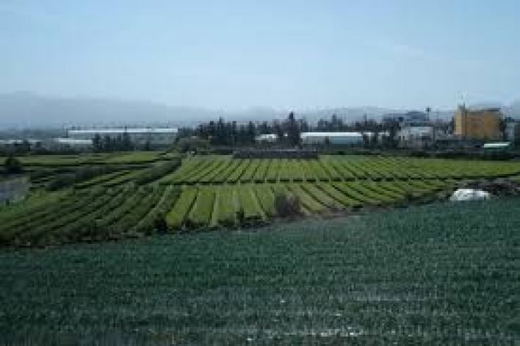 Jeju Island Trip Packages