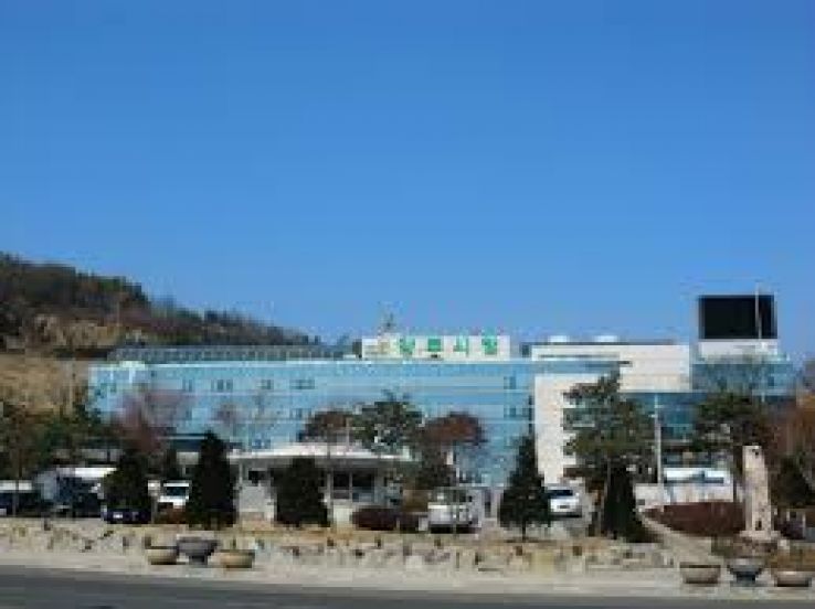 Yangju Trip Packages
