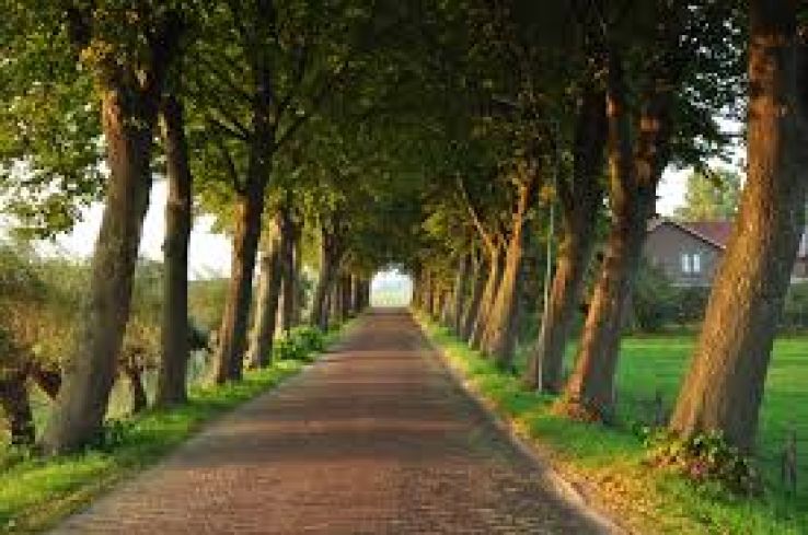 Montfoort Trip Packages