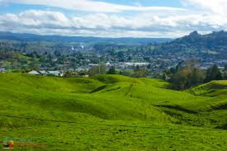 Te Kuiti Trip Packages