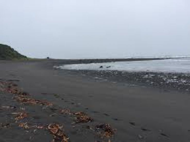 Oakura Trip Packages