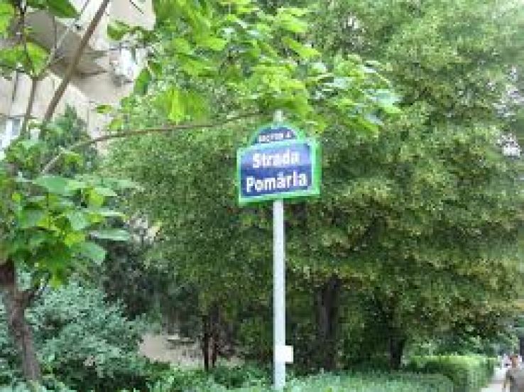 Pomarla Trip Packages