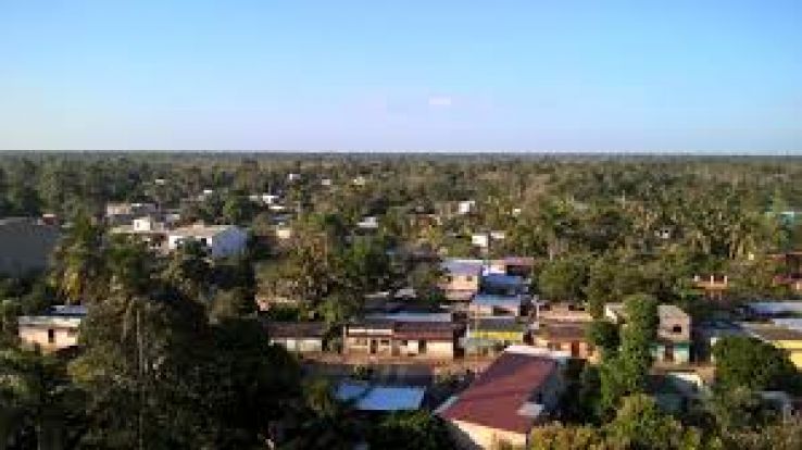 Vicente Trip Packages