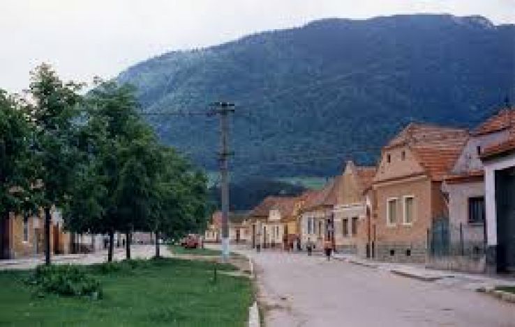 Zarnesti Trip Packages