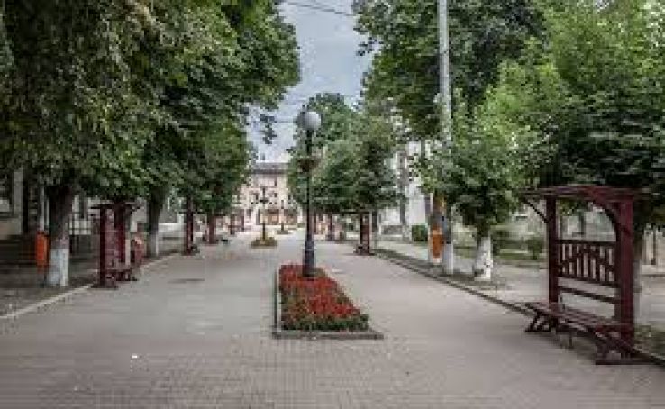 Saveni Trip Packages