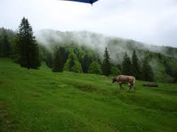 Predeal Trip Packages