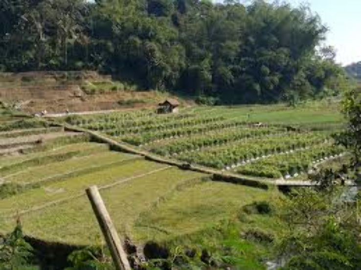 East Java Trip Packages