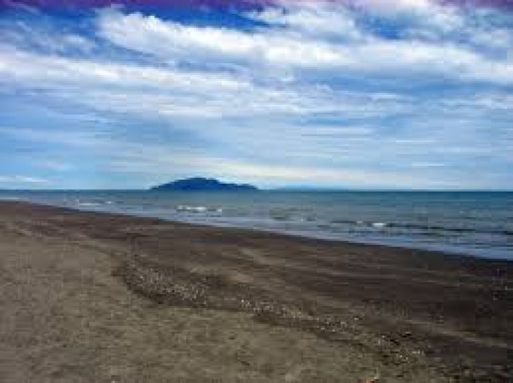 Otaki Trip Packages