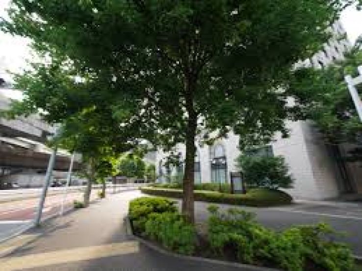 Magical 3 Days 2 Nights Tokyo Tour Package