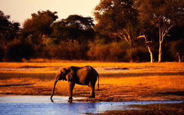 Zimbabwe Trip Packages