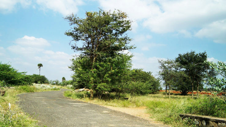 Aravakurichi Trip Packages