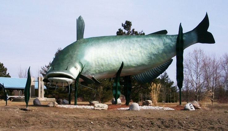 Dunnville Trip Packages