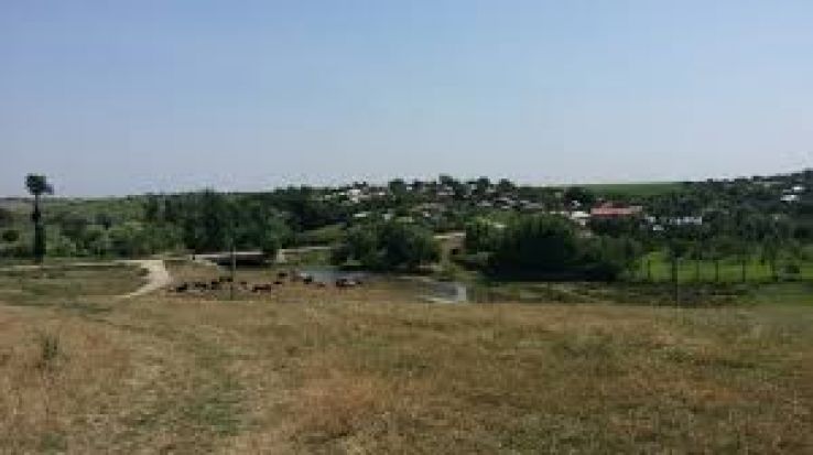 Teleorman Trip Packages