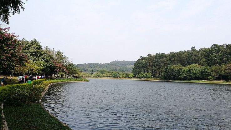 Foshan Trip Packages