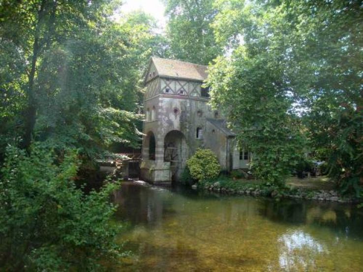 Olivet Trip Packages