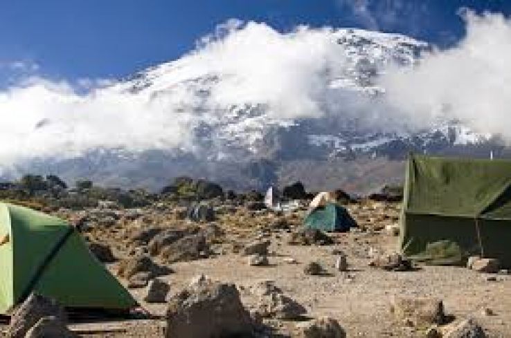 Ecstatic 6 Days arrive kilimanjaro - lake manyara Tour Package