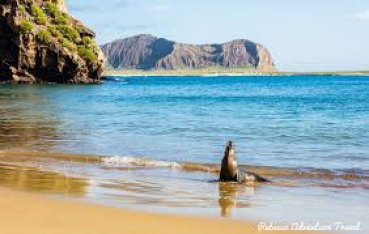 Galapagos Islands Trip Packages