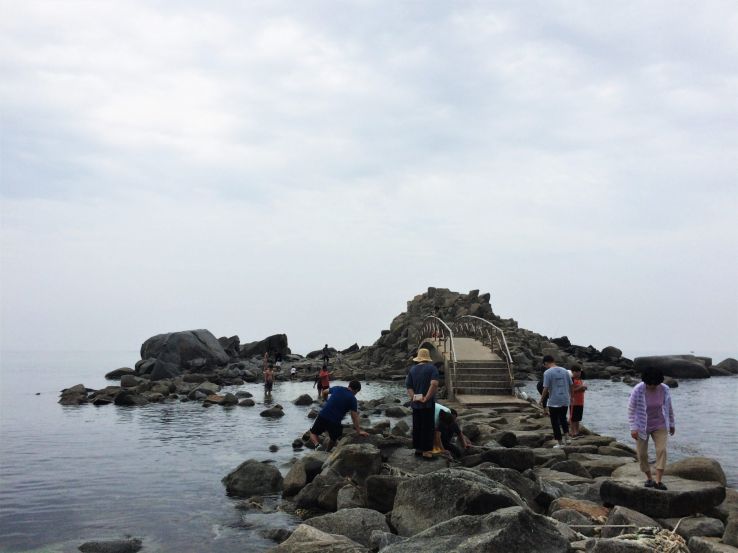 Gangneung si Trip Packages