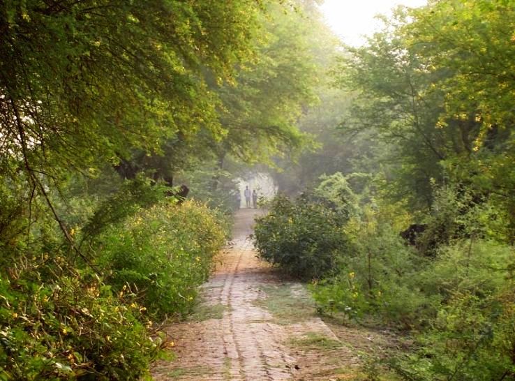 Kumher Trip Packages