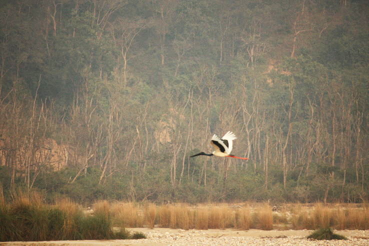 Magical Delhi To Corbett Tour Package for 6 Days from Nainital To Delhi