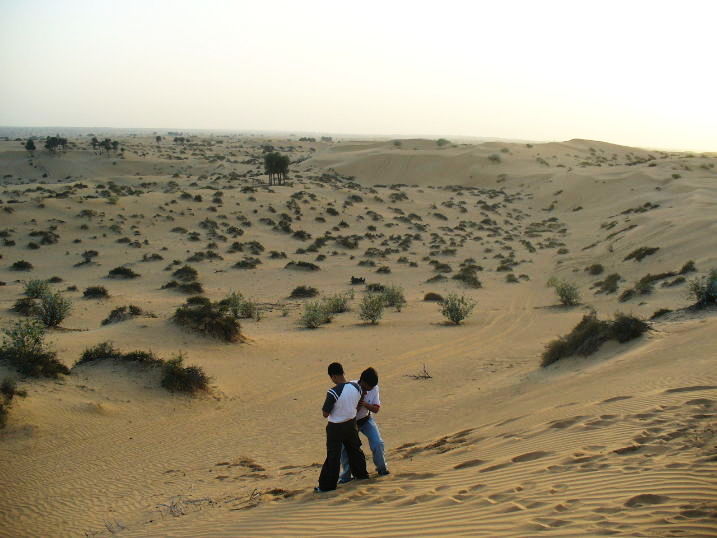 Magical 2 Days Dubai City Tour Desert Safari to Dubai Vacation Package