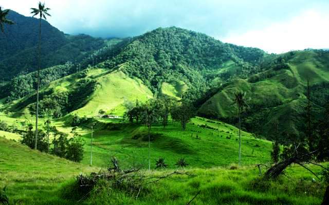 Igatpuri Trip Packages