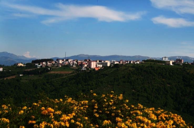 Gurgentepe Trip Packages